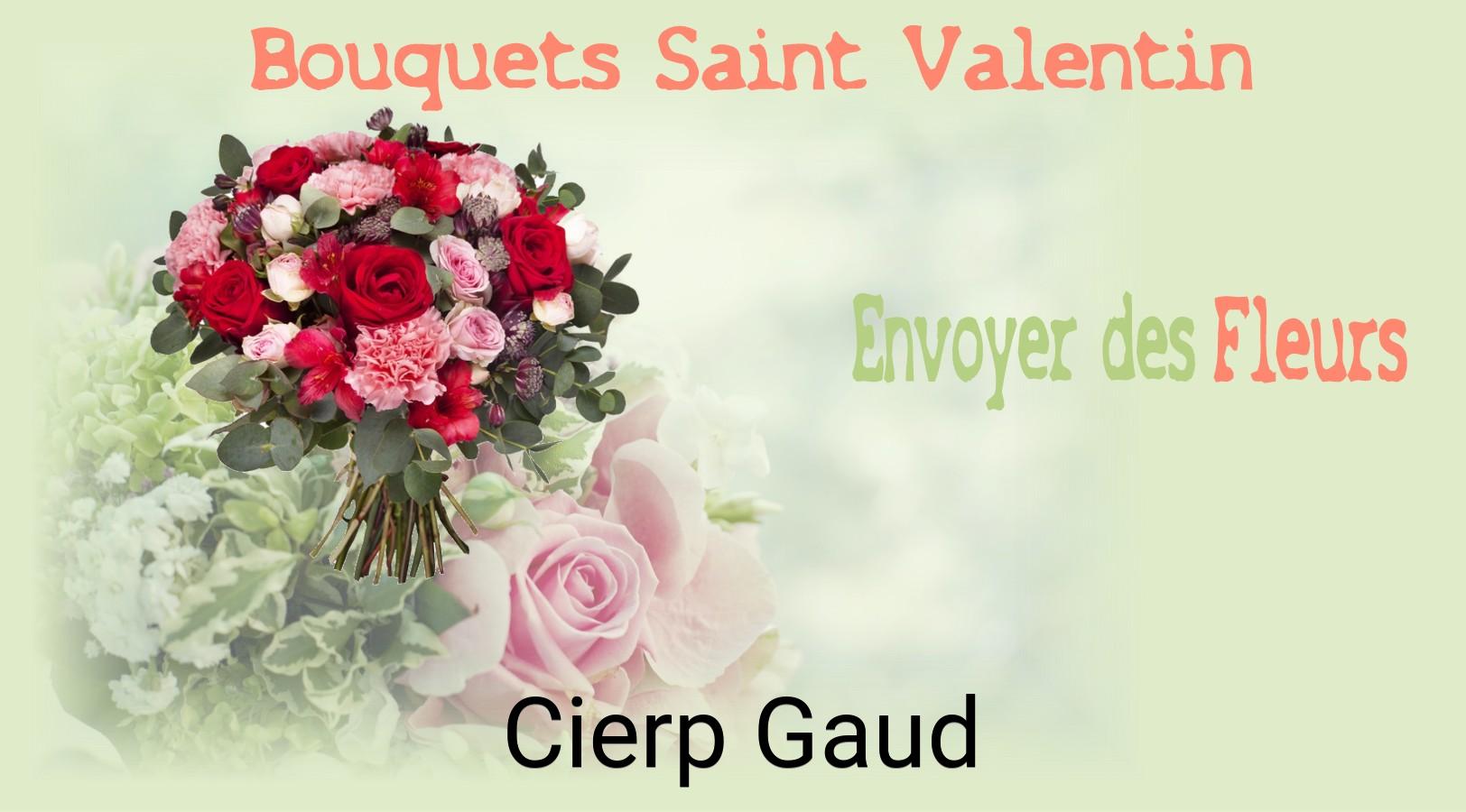 Roses de Saint-Valentin livrées à Cierp-Gaud