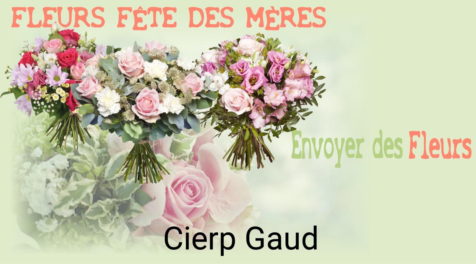 Bouquet de Fête des Mères livré à Cierp-Gaud