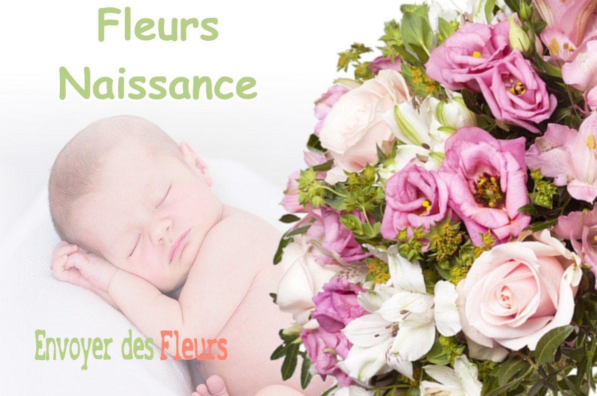 lIVRAISON FLEURS NAISSANCE à CIERP-GAUD